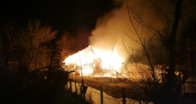 Sinop&#039;ta ahır yangını: 12 büyükbaş hayvan telef oldu
