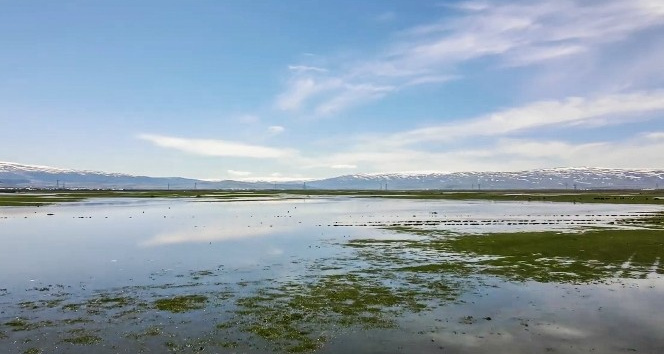 Sular altında kalan Ardahan Ovası drone ile görüntülendi