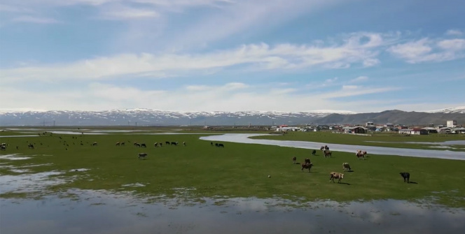 Sular altında kalan Ardahan Ovası drone ile görüntülendi