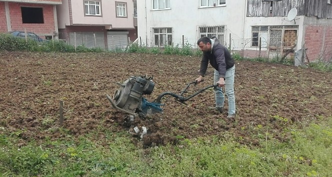 Tarlalarda çapalama işlemi başladı