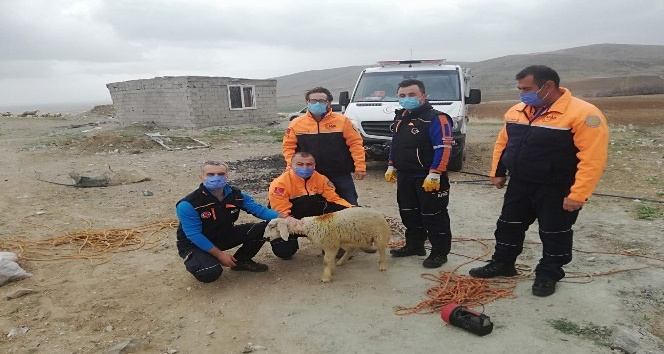 Ölmek üzere olan kuzuyu AFAD ekipleri kurtardı