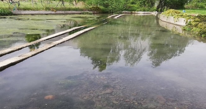 Şenoba Belediyesi tarafından akarsu ve kaynak sularda çöp temizliği
