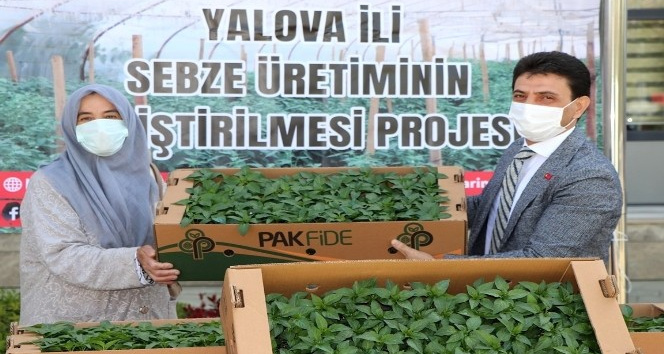 Yalova’da çiftçilere 600 bin fide dağıttı