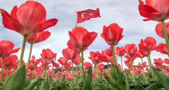Nevşehir’de bahar güzelliği