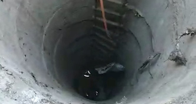 Metrelerce derinlikteki su kuyusuna düşen yavru kedi kurtarıldı