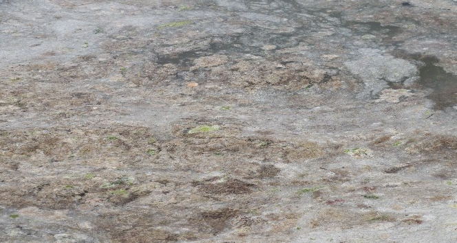 Marmara Denizi beyaza büründü