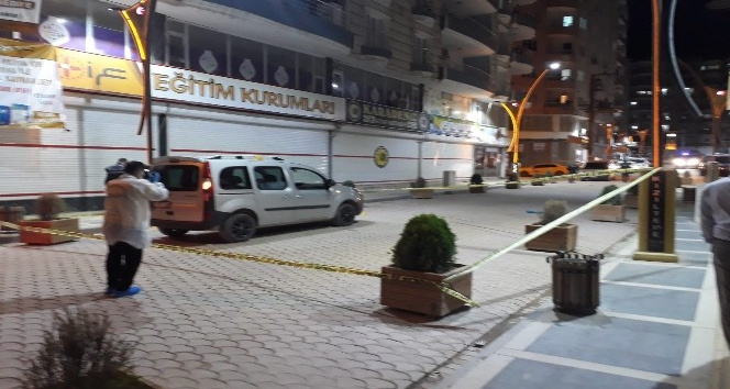 Mardin’de silah sesleri polisi alarma geçirdi