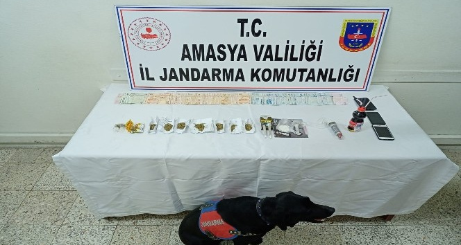 Amasya’da uyuşturucu operasyonu: 2 tutuklama