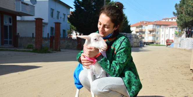 Altını bezlediği kuzusuyla alışverişe de gidiyor, sahile de