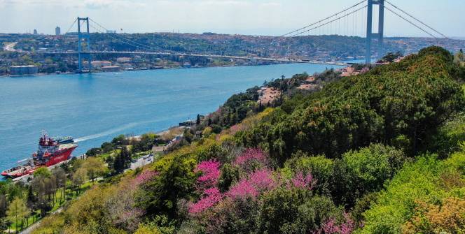 İstanbul’da erguvan zamanı