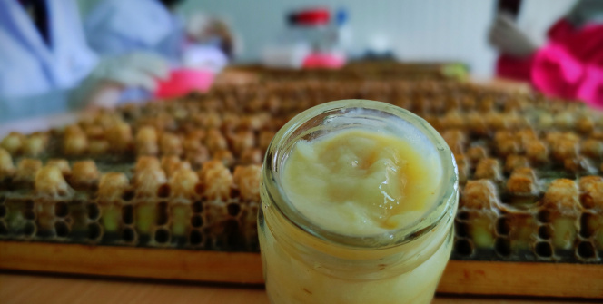 Gram gram sağdığı arı sütünün kilosunu 8 bin liradan satıyor