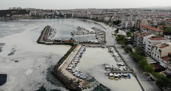 Çanakkale Boğazı deniz salyası ile kaplandı