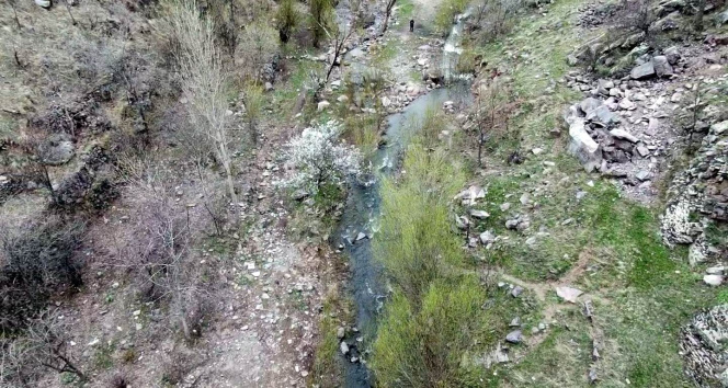 Erciyes&#039;in karı eridi Kırlangıç Vadisi coştu