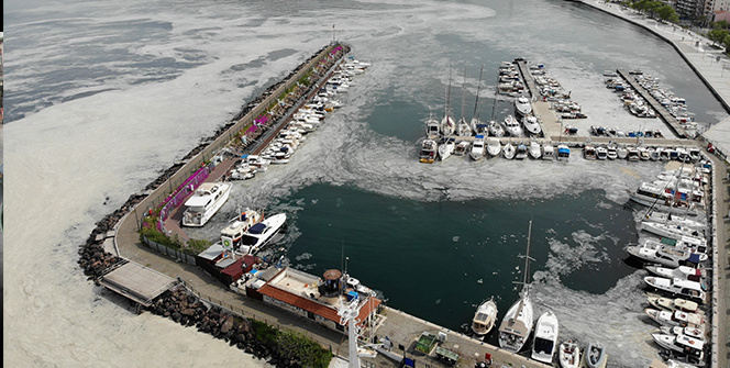 Çanakkale Boğazı deniz salyası ile kaplandı