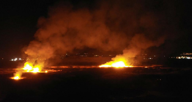 Erzincan’da kuş cennetinde yangın