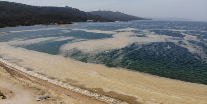 Marmara'da denizin dibi zindana döndü