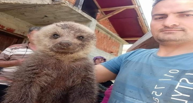 Giresun’da yol kenarında bulunan yavru ayı yetkililere teslim edildi