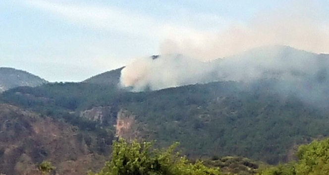 Ortaca’da orman yangınında 1 hektar yandı