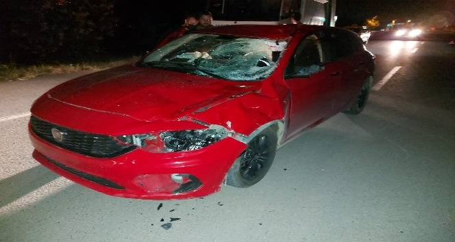 Otomobil ahırdan kaçan ata çarptı: Sürücü yaralandı, at telef oldu