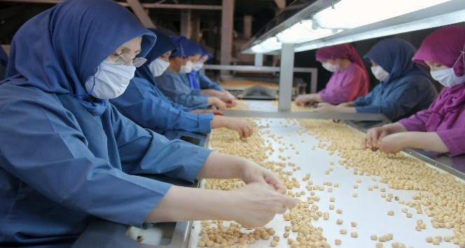 FİSKOBİRLİK, pandemiye rağmen ihracatta hız kesmedi