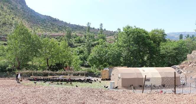 Devlet destek verdi, 4 kardeş iş sahibi oldu