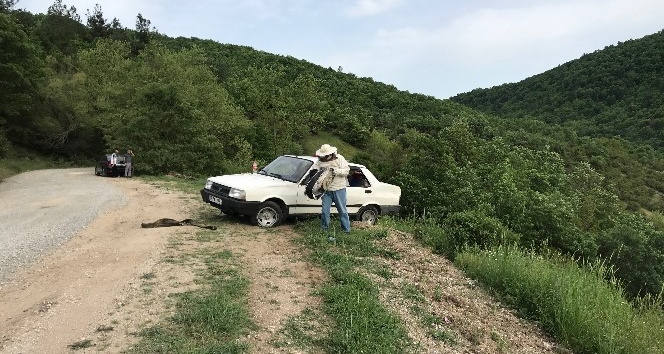 Çanakkale’de takla atan otomobildeki arılar yola saçıldı