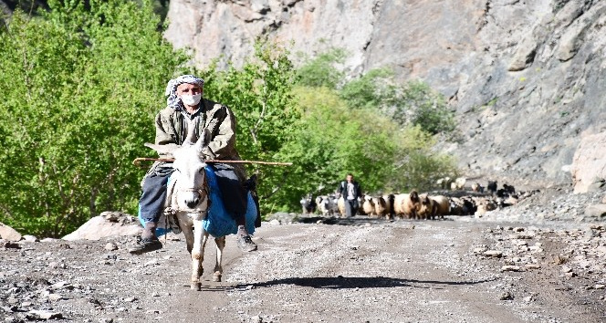 30 gün yol yürüyen göçerler yaylaya ulaştı