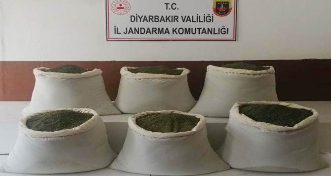 Diyarbakır’da çalıların arasında 201 kilogram esrar ele geçirildi