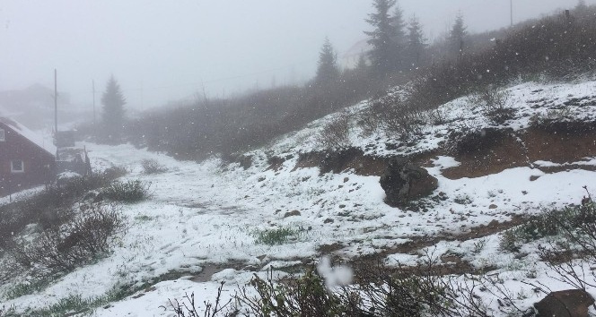 Doğu Karadeniz’de Mayıs’ta yaylalarda kar süprizi
