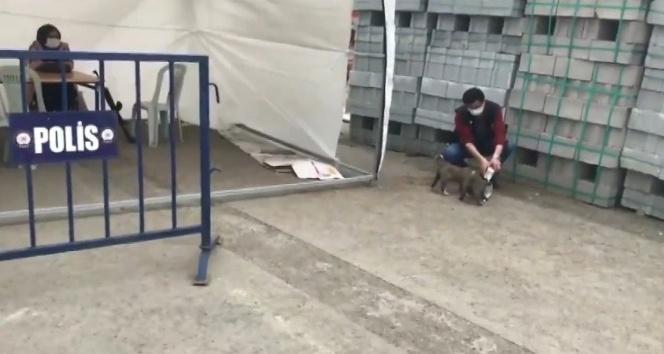 Ağrı’da polis yavru köpekleri sütle besledi