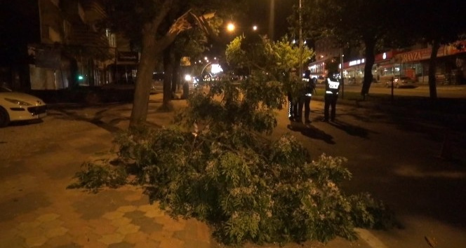 Fırtına ağaçları devirdi, binaların kaplamasını uçurdu