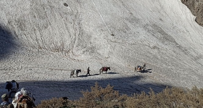 Beyaz ve yeşilin buluştuğu Şırnak yaylalarında kartpostallık görüntüler oluştu