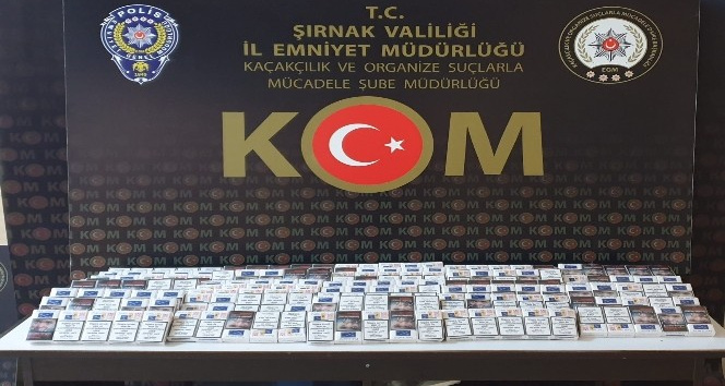 Şırnak’ta kaçakçılık operasyonu: 31 gözaltı