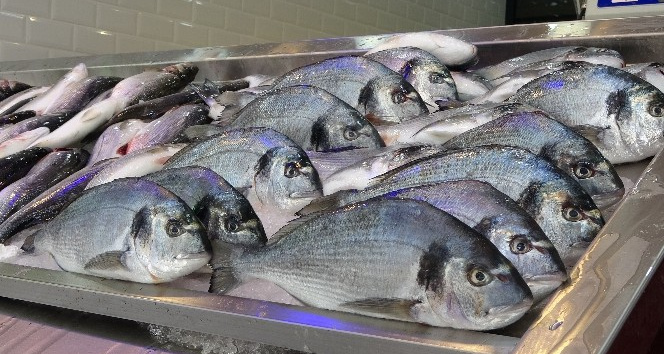 Tezgahları kültür balıkları süslüyor