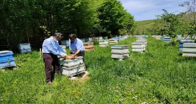 Kırklareli’nde meşe balı üreten üreticiler bilgilendiriliyor