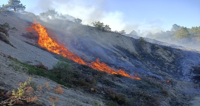 Burdur’da orman yangını