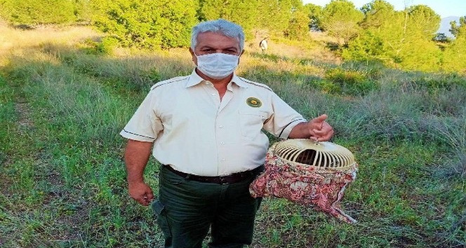 Osmaniye’de keklik avcılarına geçit yok