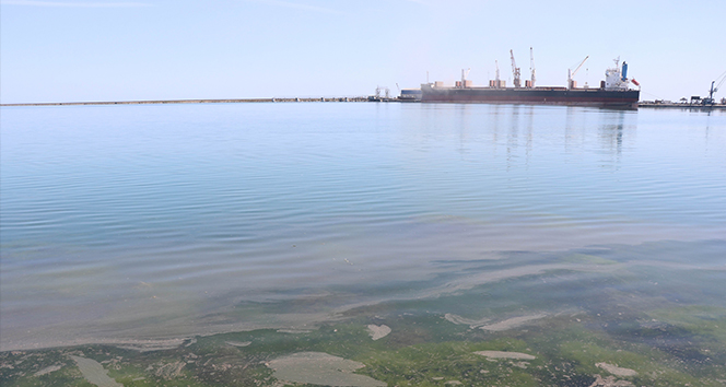 Samsun Limanı&#039;nda tedirgin eden kirlilik: Gözler gemilerde