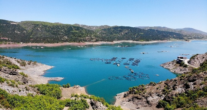 Yılda 5 bin 500 ton üretiliyor, yurt dışına gönderiliyor