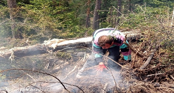 Artvin’deki orman yangınında 4 bin çam ve ladin ağacı yandı