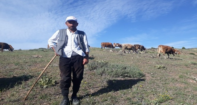 Sorgun’da kene paniği erken başladı