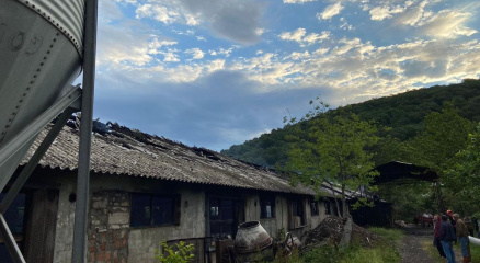 Sakaryada tavuk çiftliğinde yangın: 10 bin 500 civciv telef oldu