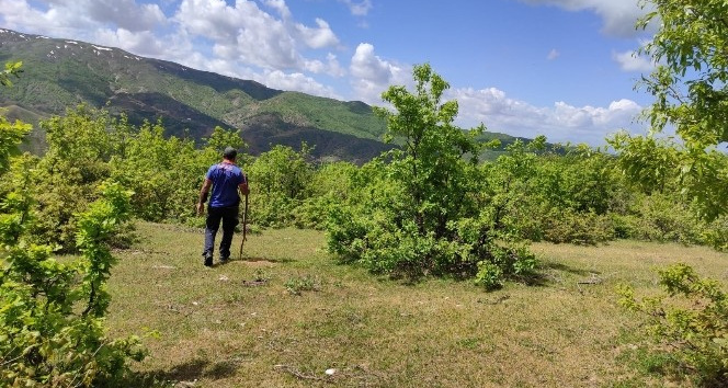 Bingöl’de kayıp yaşlı adamı, arama çalışmaları 1 aydır sürüyor