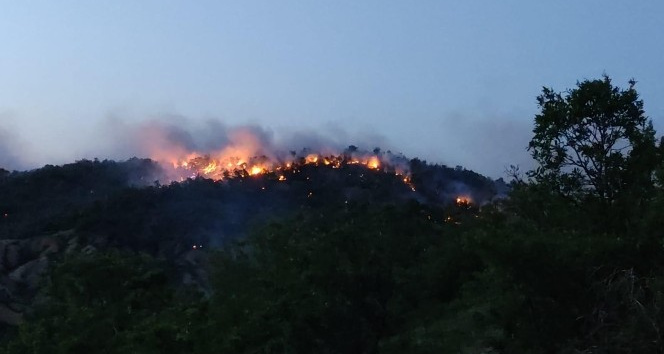 Bingöl’de orman yangını 2 günde kontrol altına alınabildi