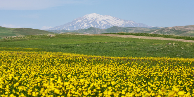 Ahlat’ta renk cümbüşü