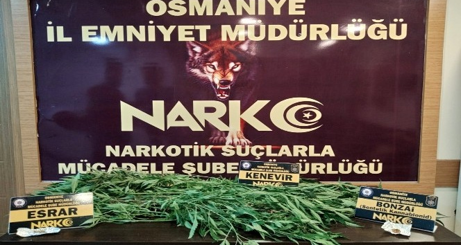 Osmaniye’de uyuşturucu operasyonu