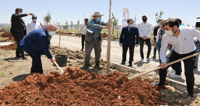Başkan Mahçiçek: “Expo yenileme alanında herkesin bir dikili ağacı olacak”