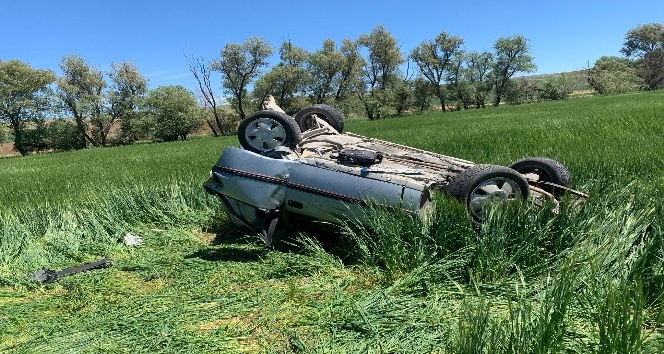 Otomobil tarlaya devrildi: 1 yaralı