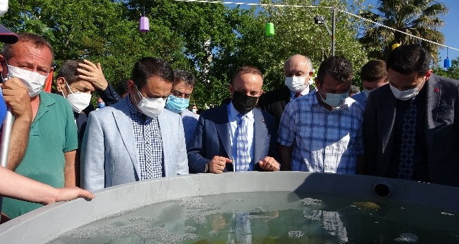 22 bin yavru balık Çanakkale Boğazı’na bırakıldı