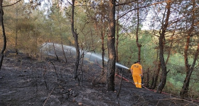 Osmaniye’deki orman yangını söndürüldü